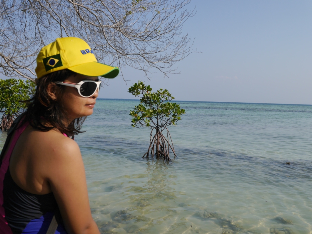 pulau tikus