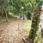 Kebun Raya Cibodas