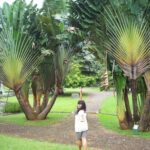 Kebun Raya Bogor