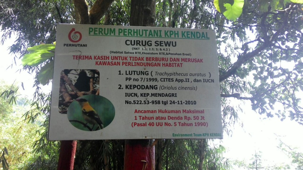 curug sewu