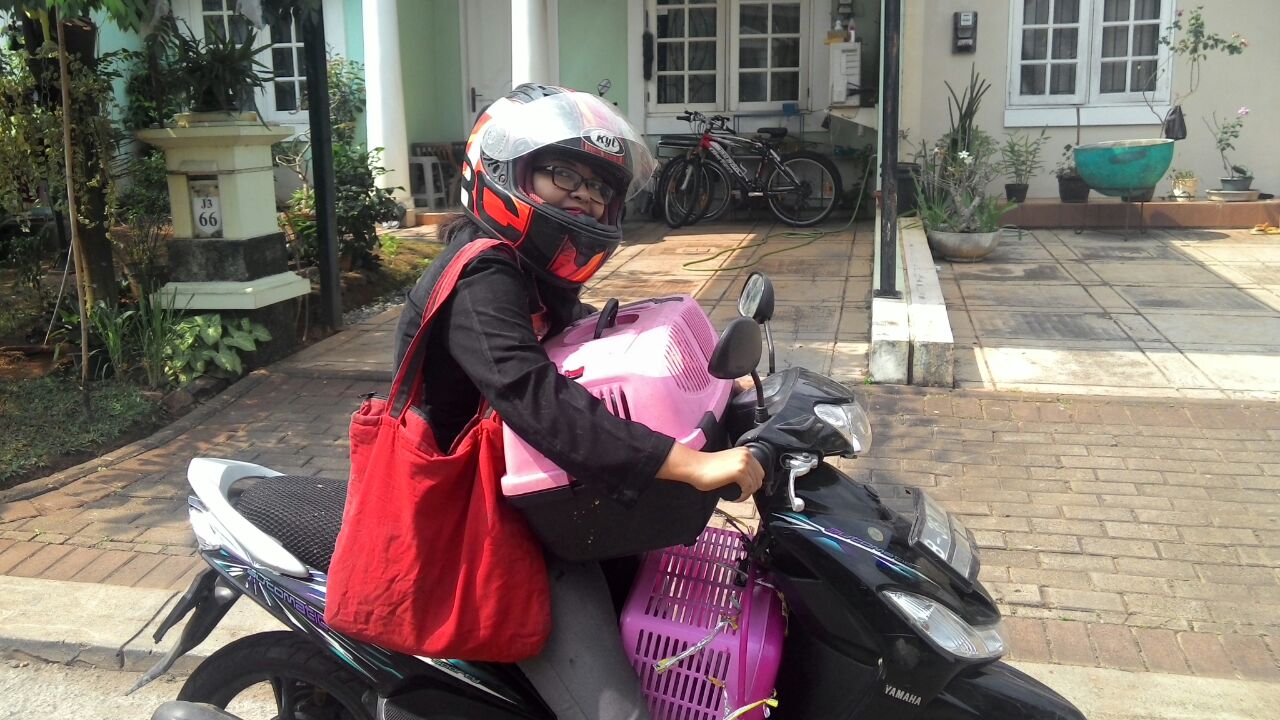 Tukang Pet Jek