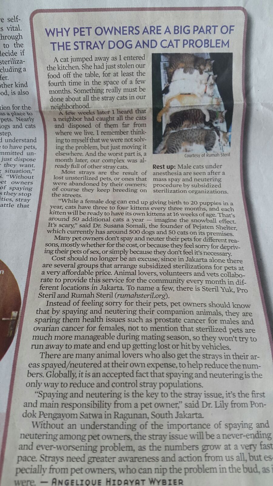 featured in Jakarta Post