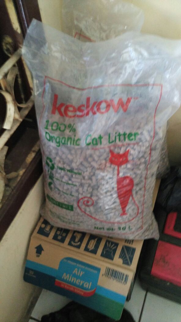 pasir kucing 2
