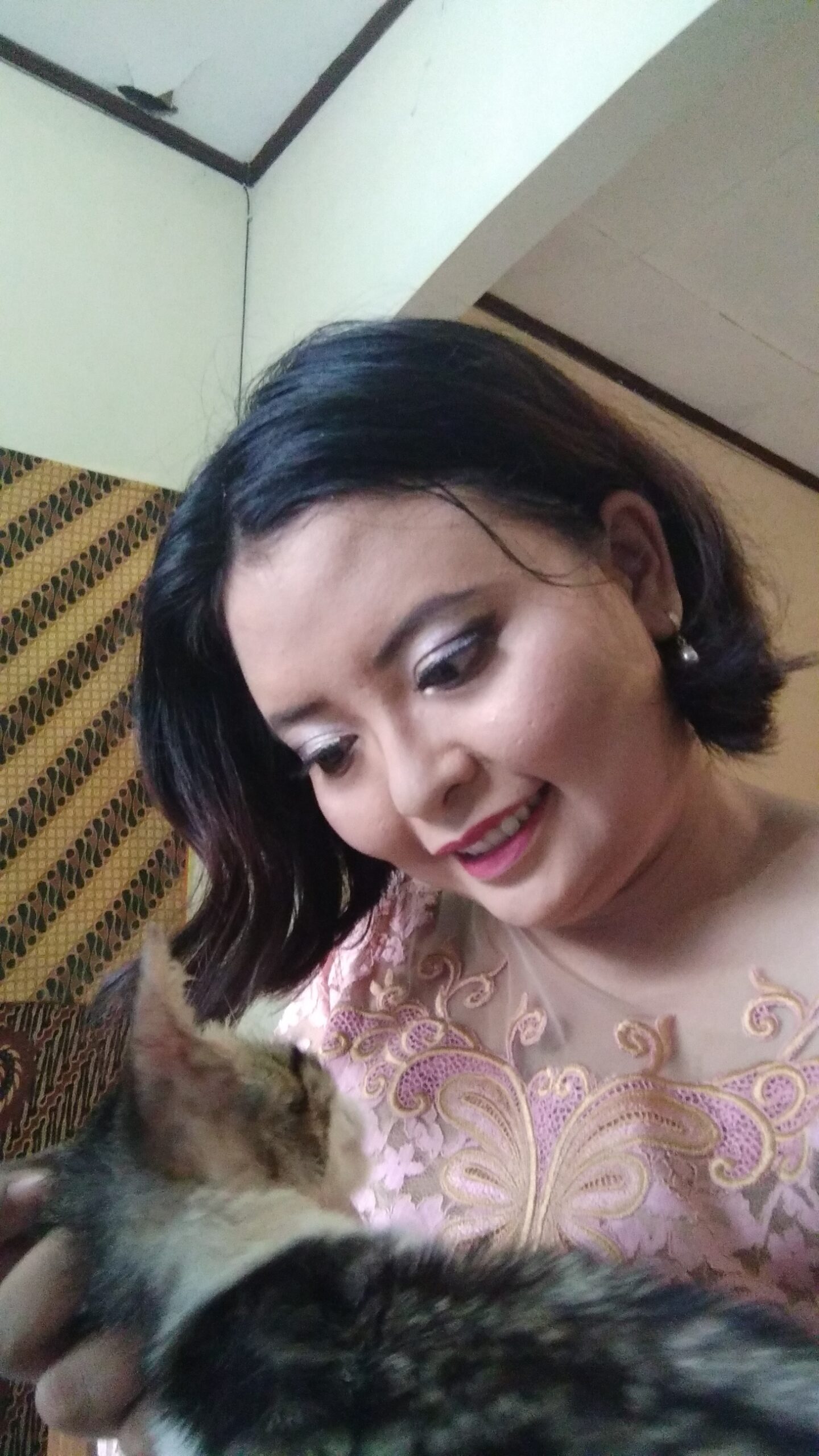 Tokso, Kucing, dan Saya