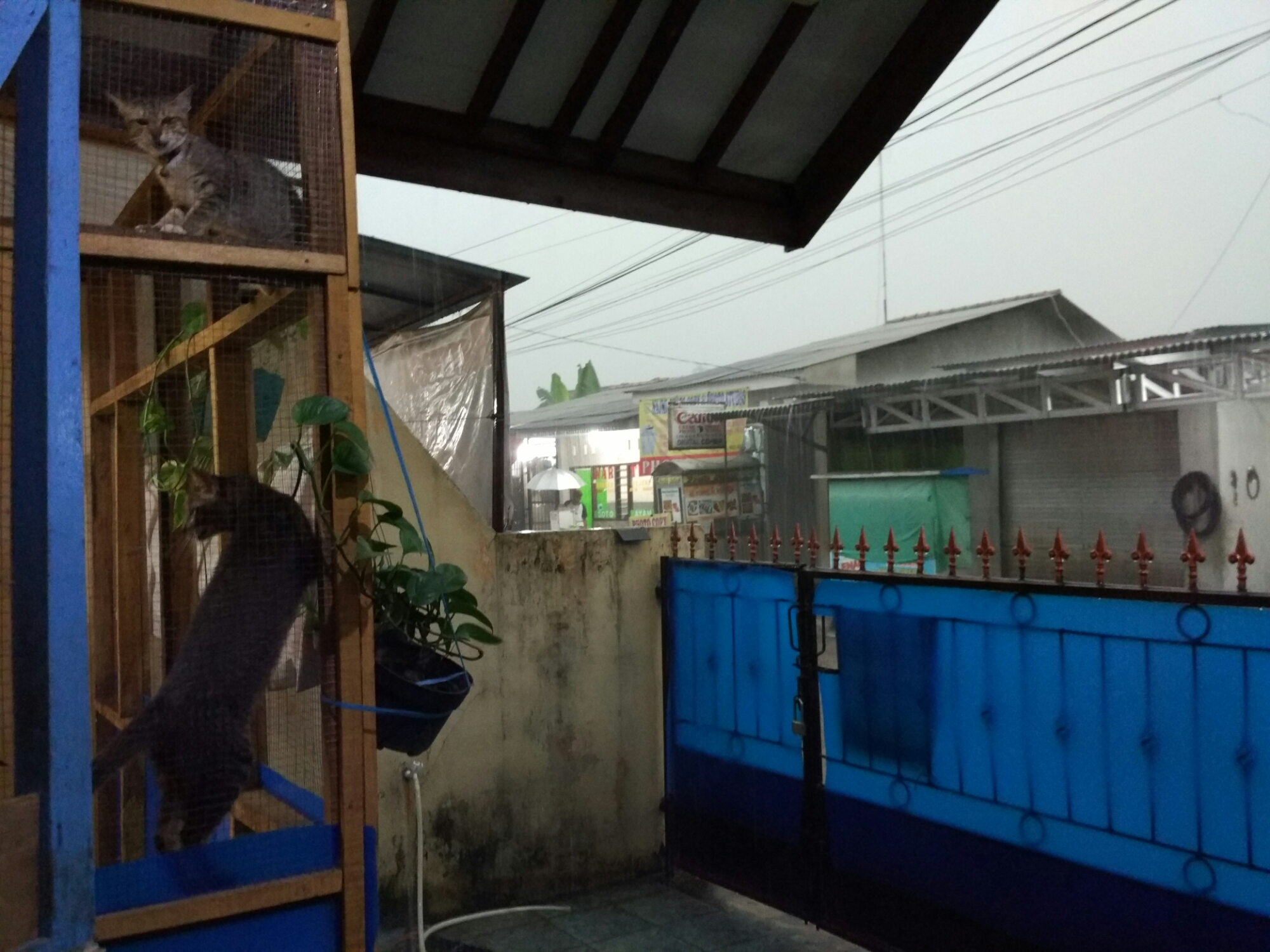 rumah steril